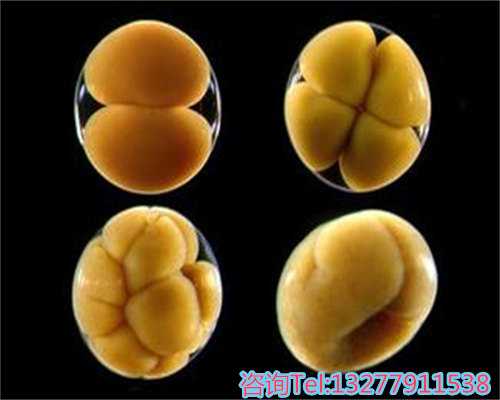 广州试管婴儿成功率解析及助孕策略