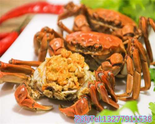 广州三代试管助孕中心：专业助孕代怀服务与先进技术解析