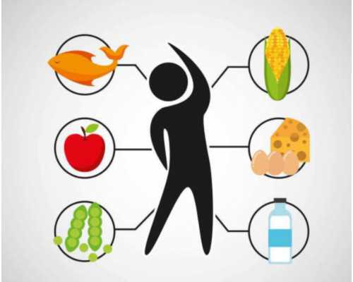 广州试管助孕机构专业服务与费用详解