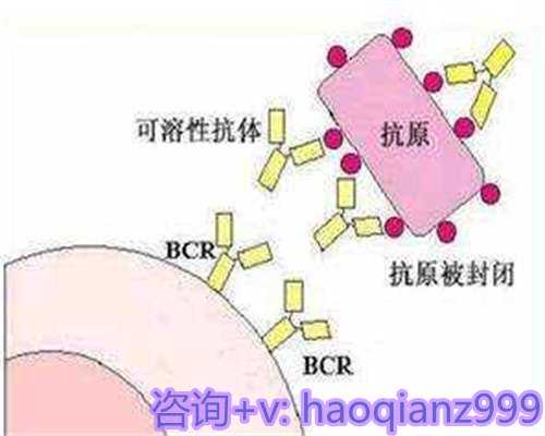 2026年生育热潮预测与影响因素分析