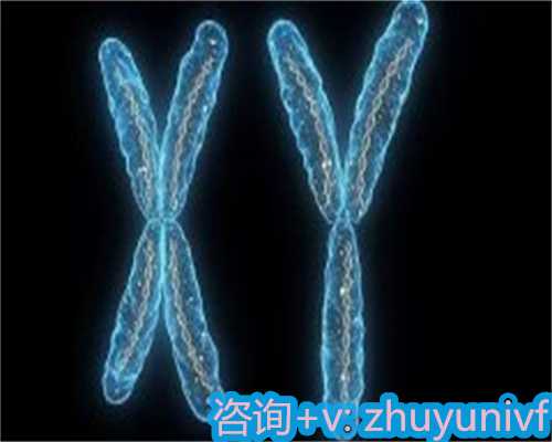 揭秘人工取卵全过程：疼痛感与潜在风险解析