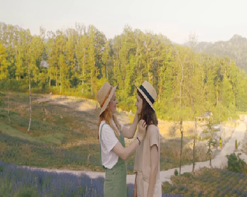 过来人分享清宫图备孕经历与看法