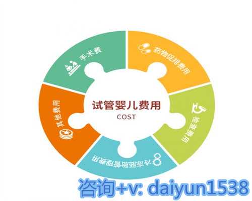 应对生育问题情感波动的借卵试管指南